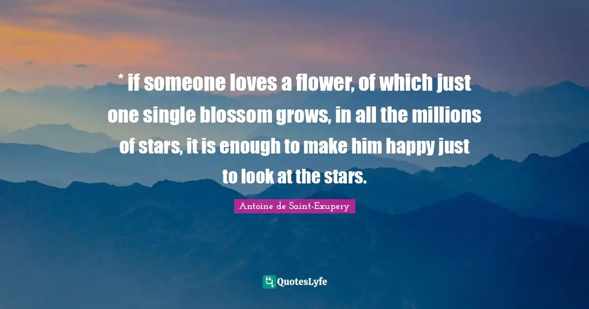 * if someone loves a flower, of which just one single blossom grows, in all the millions of stars, it is enough to make him happy just to look at the stars.