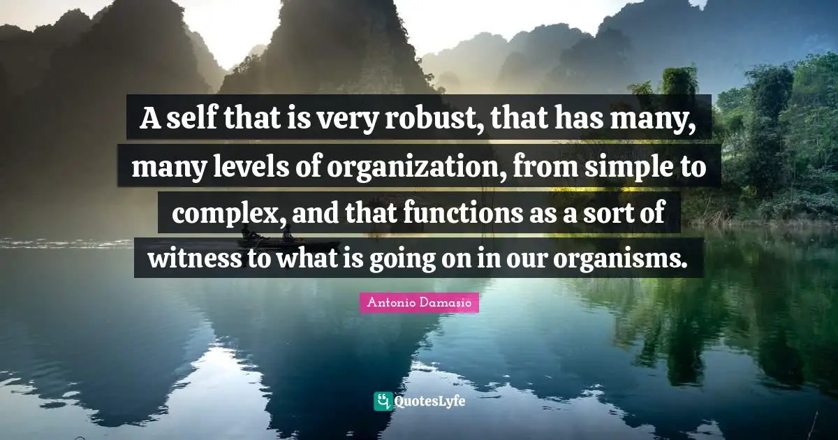A self that is very robust, that has many, many levels of organization, from simple to complex, and that functions as a sort of witness to what is going on in our organisms.