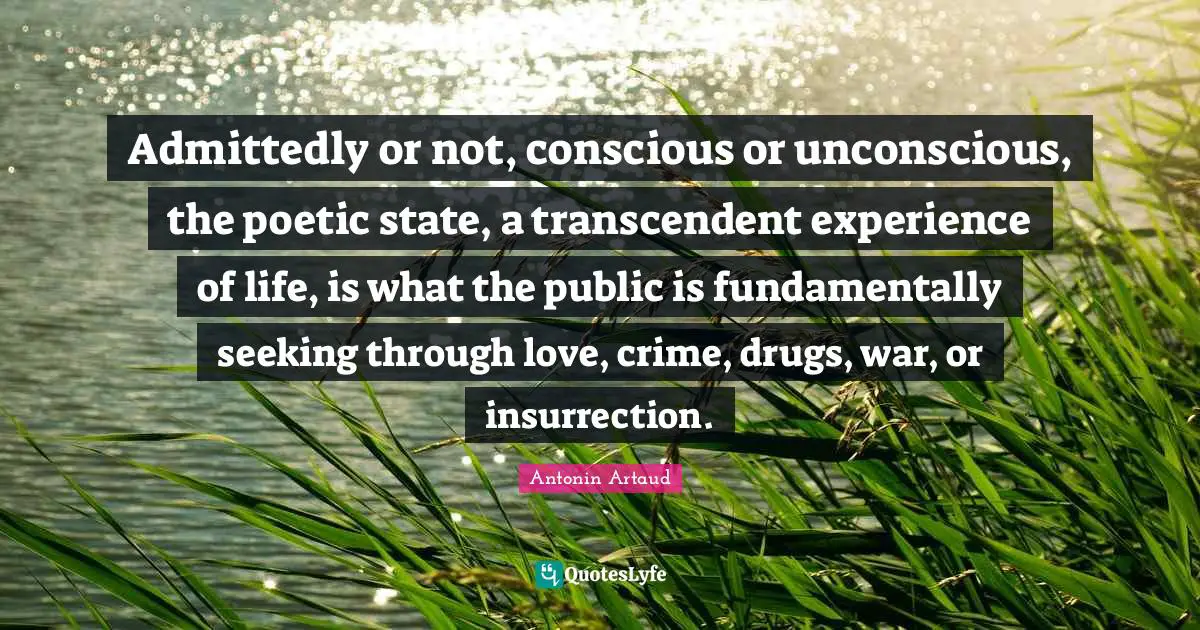 Admittedly or not, conscious or unconscious, the poetic state, a transcendent experience of life, is what the public is fundamentally seeking through love, crime, drugs, war, or insurrection.
