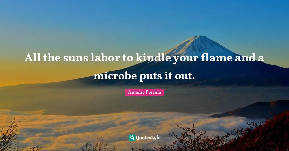 All the suns labor to kindle your flame and a microbe puts it out.