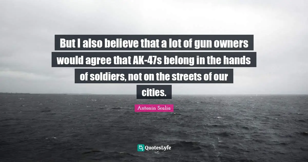 Owners Quotes: "But I also believe that a lot of gun owners would agree that AK-47s belong in the hands of soldiers, not on the streets of our cities."