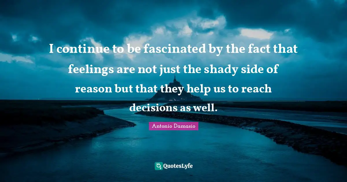 I continue to be fascinated by the fact that feelings are not just the shady side of reason but that they help us to reach decisions as well.