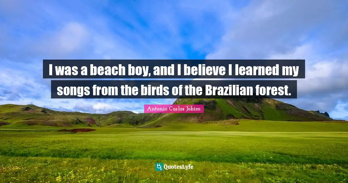 I was a beach boy, and I believe I learned my songs from the birds of the Brazilian forest.