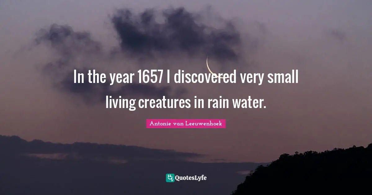 Rain Quotes: "In the year 1657 I discovered very small living creatures in rain water."