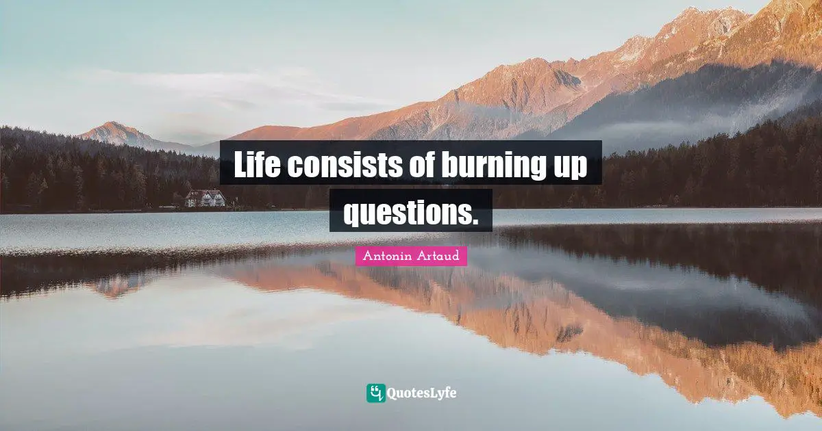 Life consists of burning up questions.