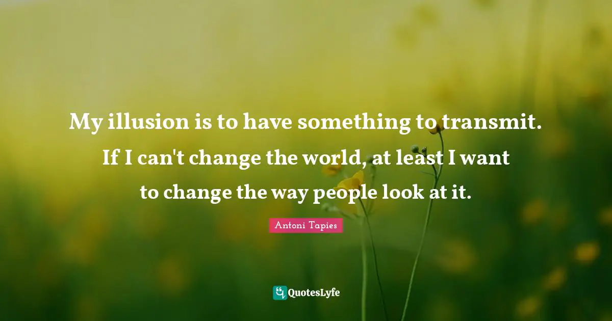My illusion is to have something to transmit. If I can't change the world, at least I want to change the way people look at it.