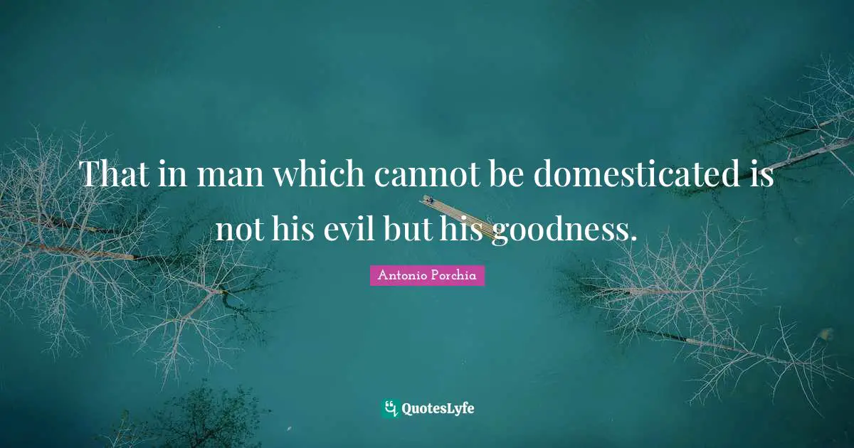 That in man which cannot be domesticated is not his evil but his goodness.