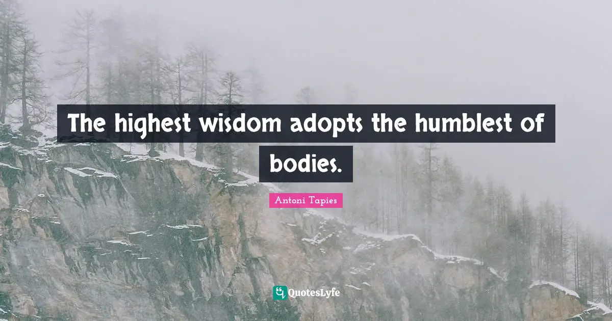 The highest wisdom adopts the humblest of bodies.