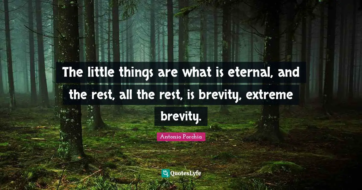 The little things are what is eternal, and the rest, all the rest, is brevity, extreme brevity.