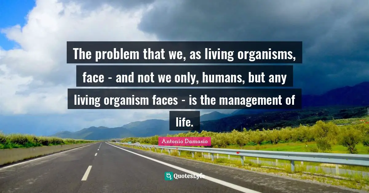 The problem that we, as living organisms, face - and not we only, humans, but any living organism faces - is the management of life.