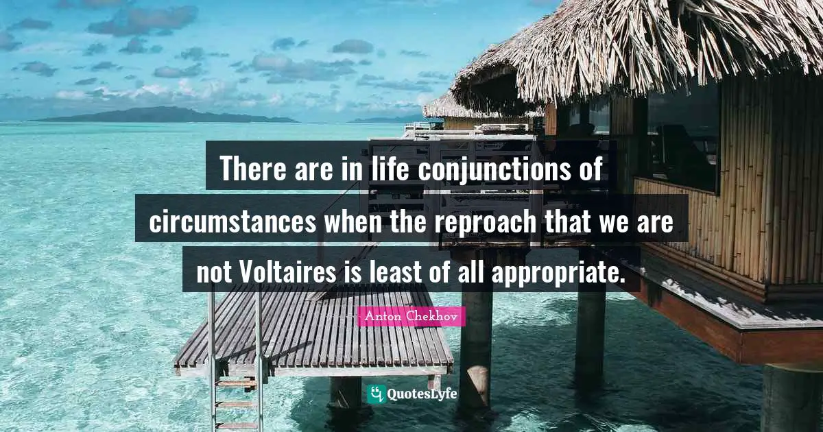 There are in life conjunctions of circumstances when the reproach that we are not Voltaires is least of all appropriate.