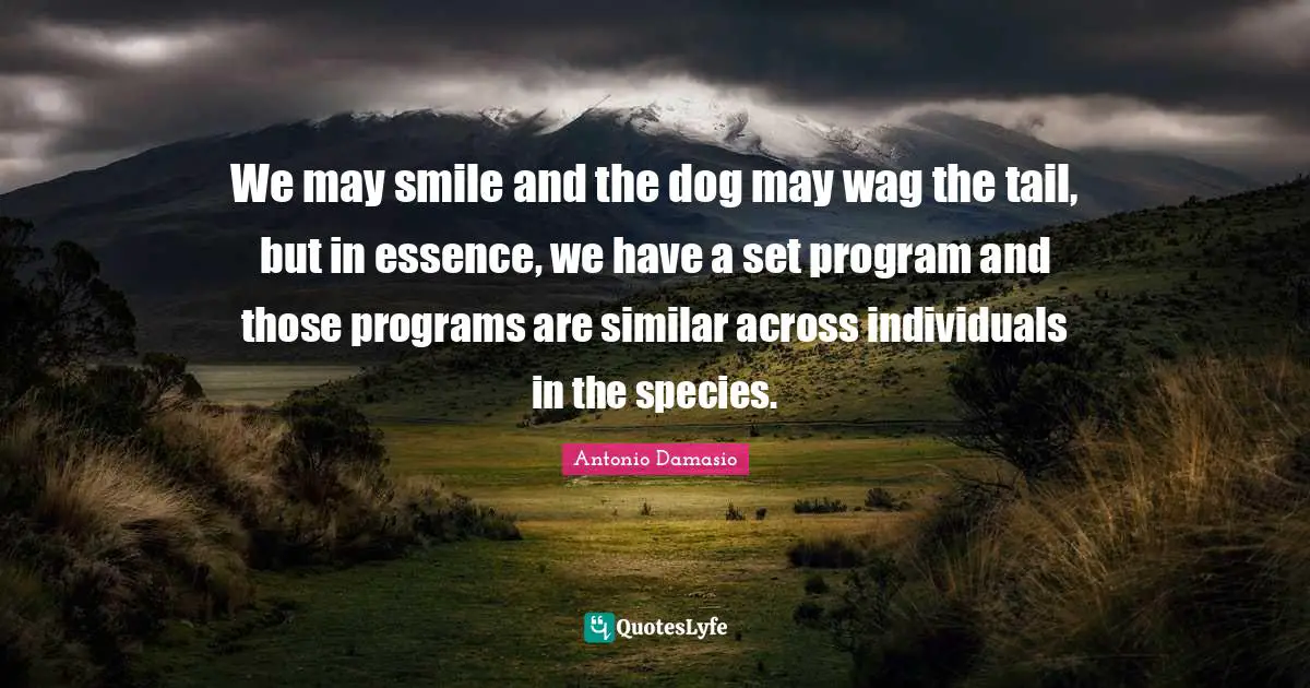 We may smile and the dog may wag the tail, but in essence, we have a set program and those programs are similar across individuals in the species.