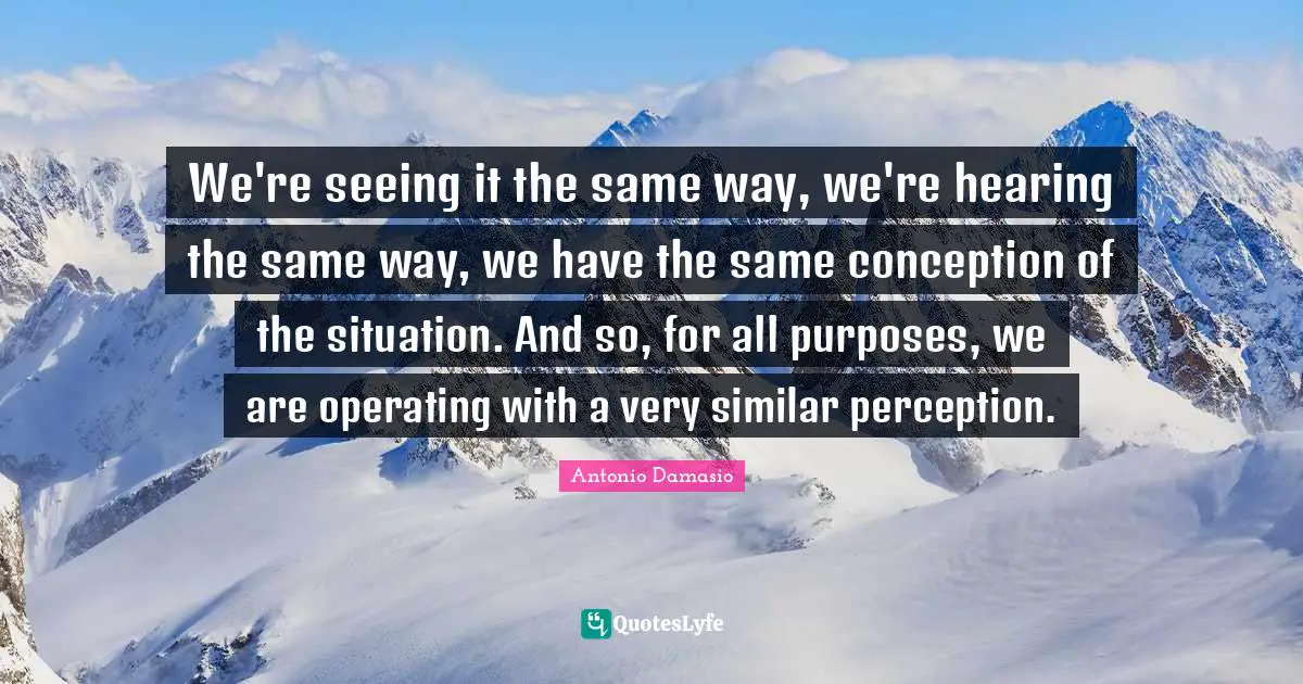 We're seeing it the same way, we're hearing the same way, we have the same conception of the situation. And so, for all purposes, we are operating with a very similar perception.
