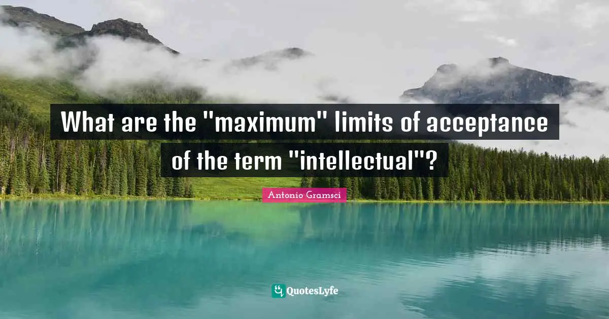 What are the "maximum" limits of acceptance of the term "intellectual"?