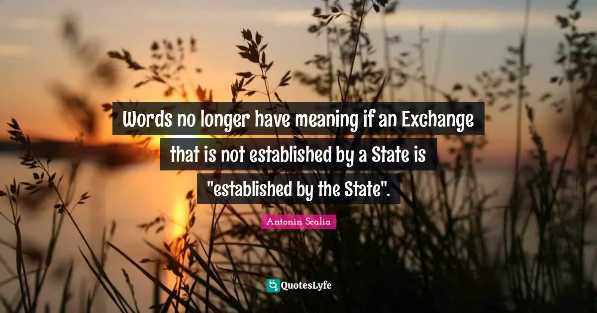 Dissent Quotes: "Words no longer have meaning if an Exchange that is not established by a State is "established by the State"."