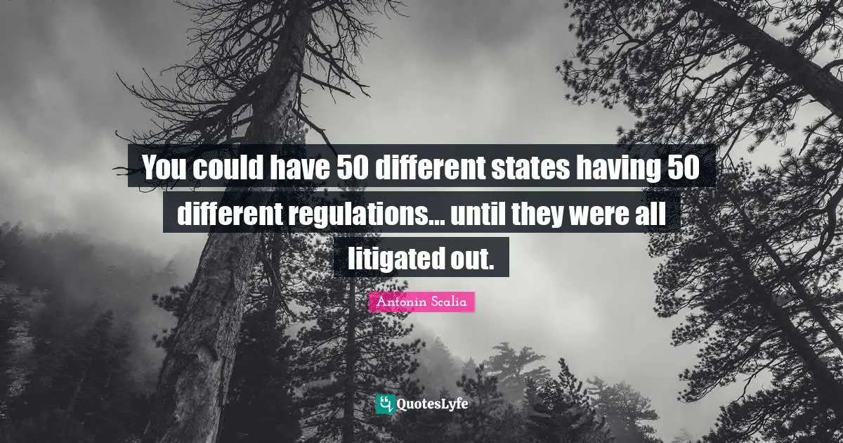 Antonin Scalia Quotes: "You could have 50 different states having 50 different regulations... until they were all litigated out."