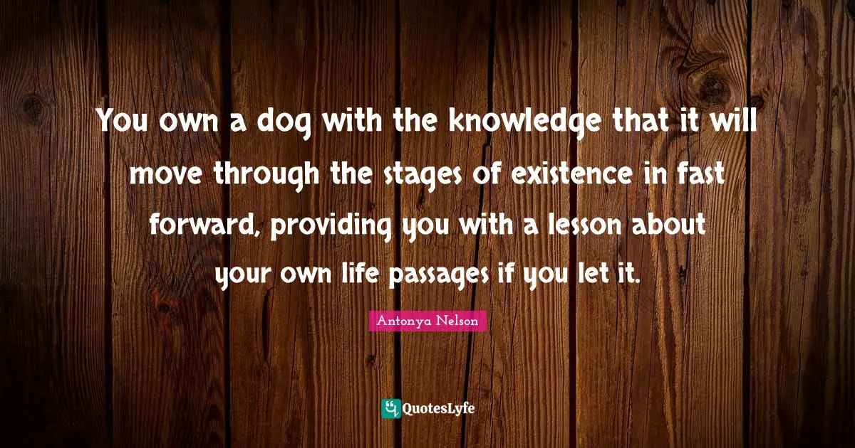 Passages Quotes: "You own a dog with the knowledge that it will move through the stages of existence in fast forward, providing you with a lesson about your own life passages if you let it."
