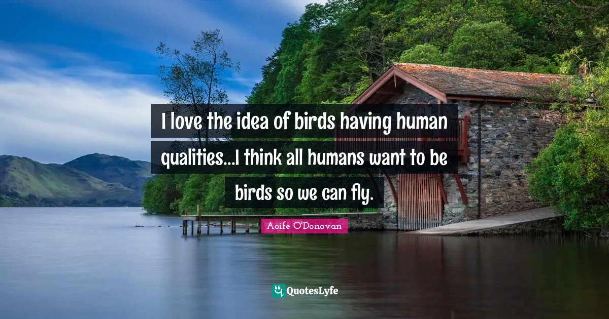 I love the idea of birds having human qualities...I think all humans want to be birds so we can fly.