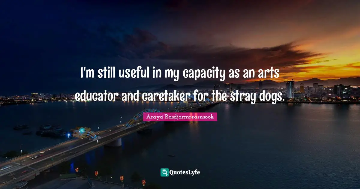 I'm still useful in my capacity as an arts educator and caretaker for the stray dogs.