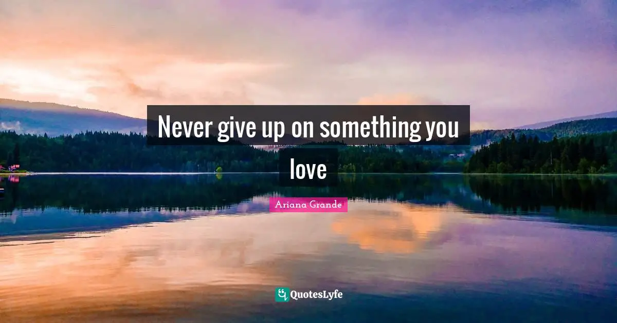 Never Give Up Quotes: "Never give up on something you love"