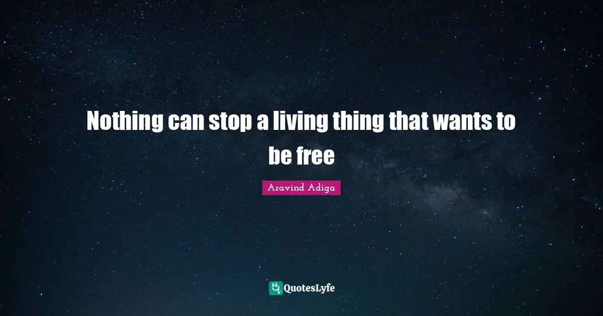 Nothing can stop a living thing that wants to be free