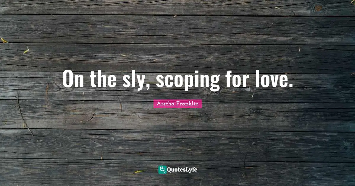 Sly Quotes: "On the sly, scoping for love."