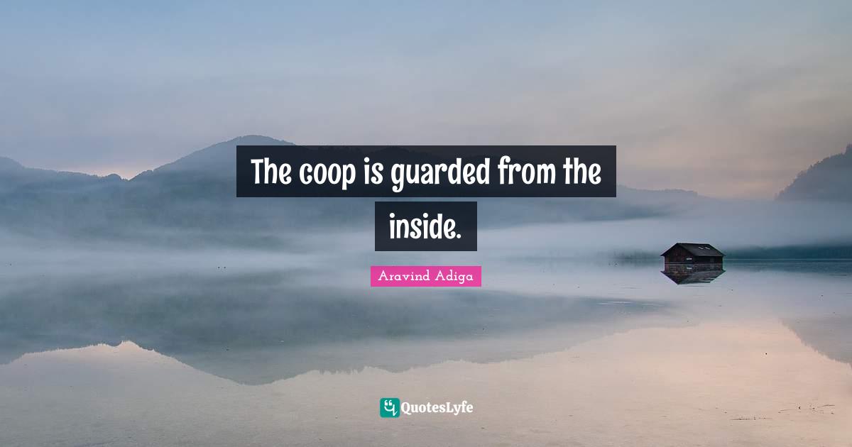 The coop is guarded from the inside.