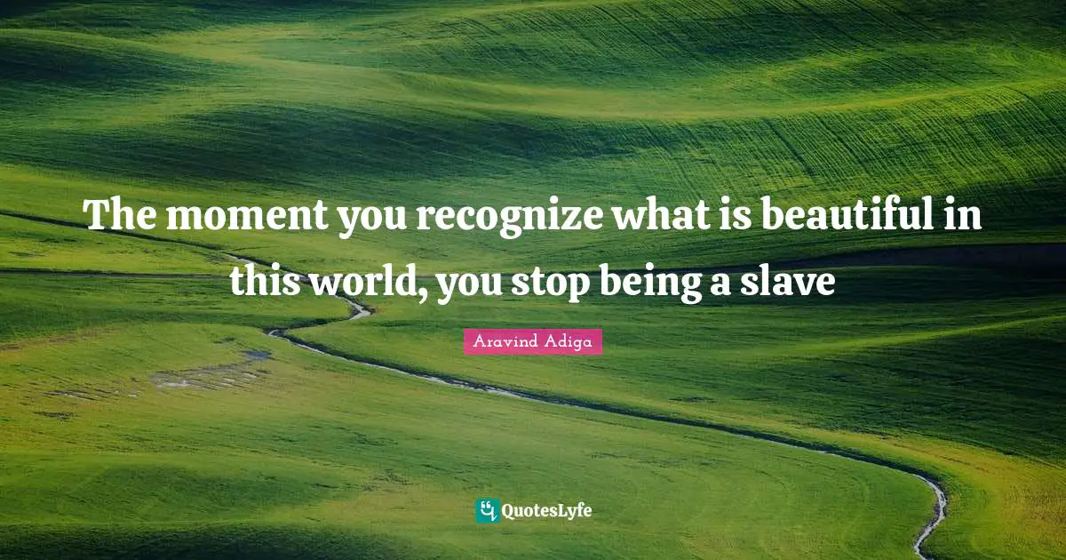 Lessons To Be Learned Quotes: "The moment you recognize what is beautiful in this world, you stop being a slave"