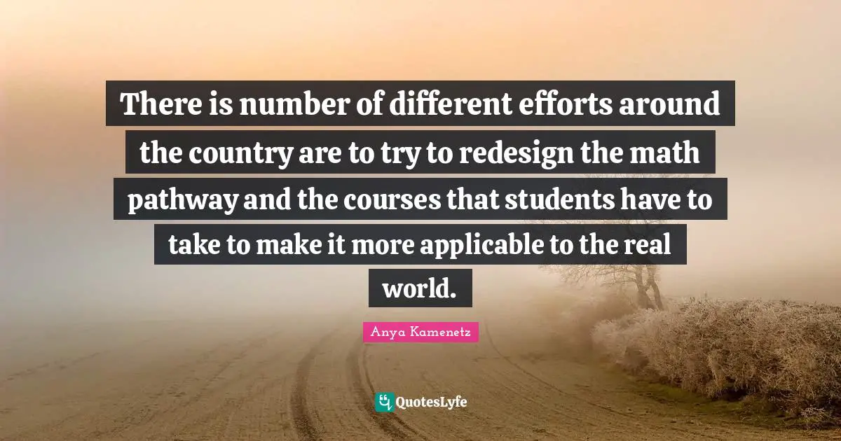 There is number of different efforts around the country are to try to redesign the math pathway and the courses that students have to take to make it more applicable to the real world.