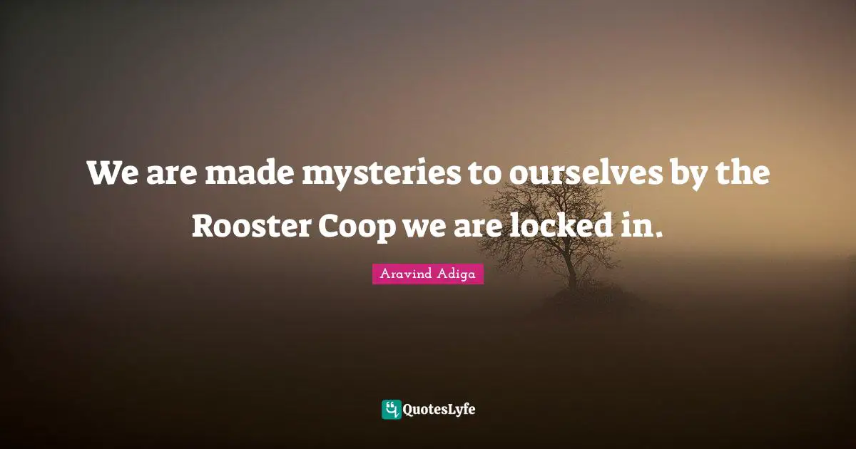We are made mysteries to ourselves by the Rooster Coop we are locked in.
