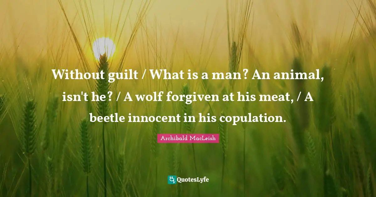 Without guilt / What is a man? An animal, isn't he? / A wolf forgiven at his meat, / A beetle innocent in his copulation.