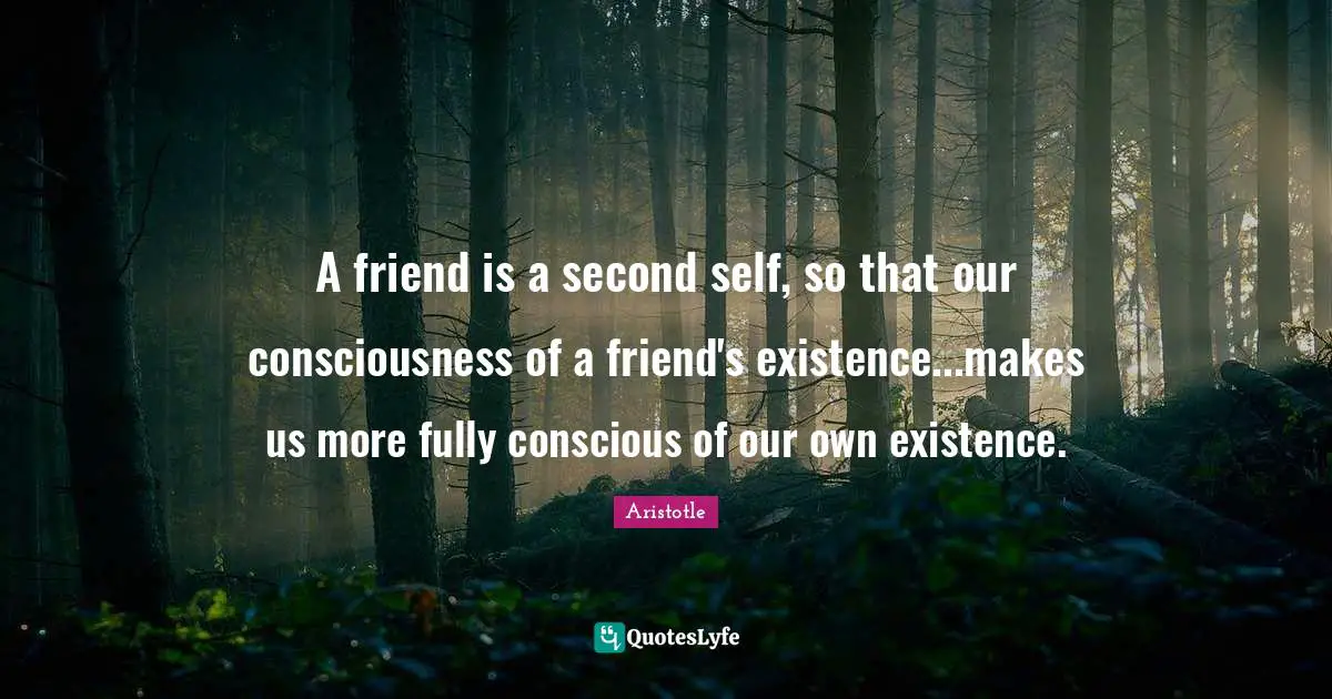 Self Conscious Quotes: "A friend is a second self, so that our consciousness of a friend's existence...makes us more fully conscious of our own existence."