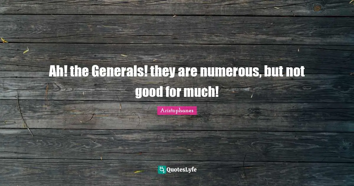 Ah! the Generals! they are numerous, but not good for much!