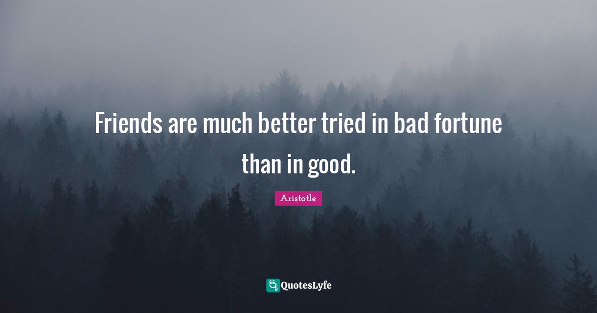 Good Friend Quotes: "Friends are much better tried in bad fortune than in good."