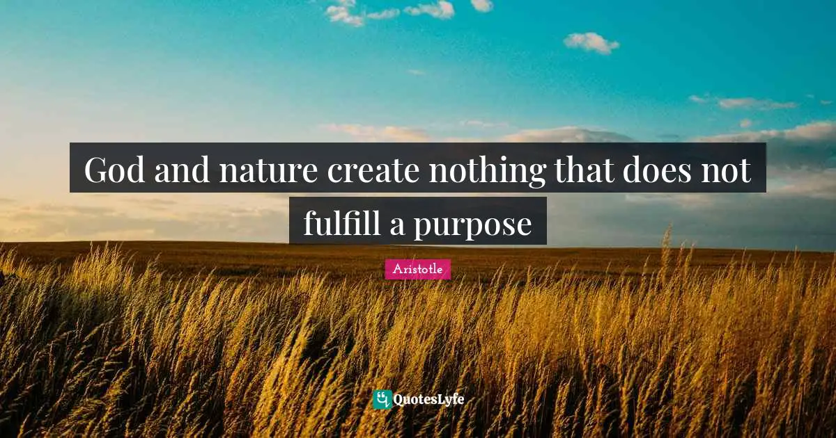 God and nature create nothing that does not fulfill a purpose