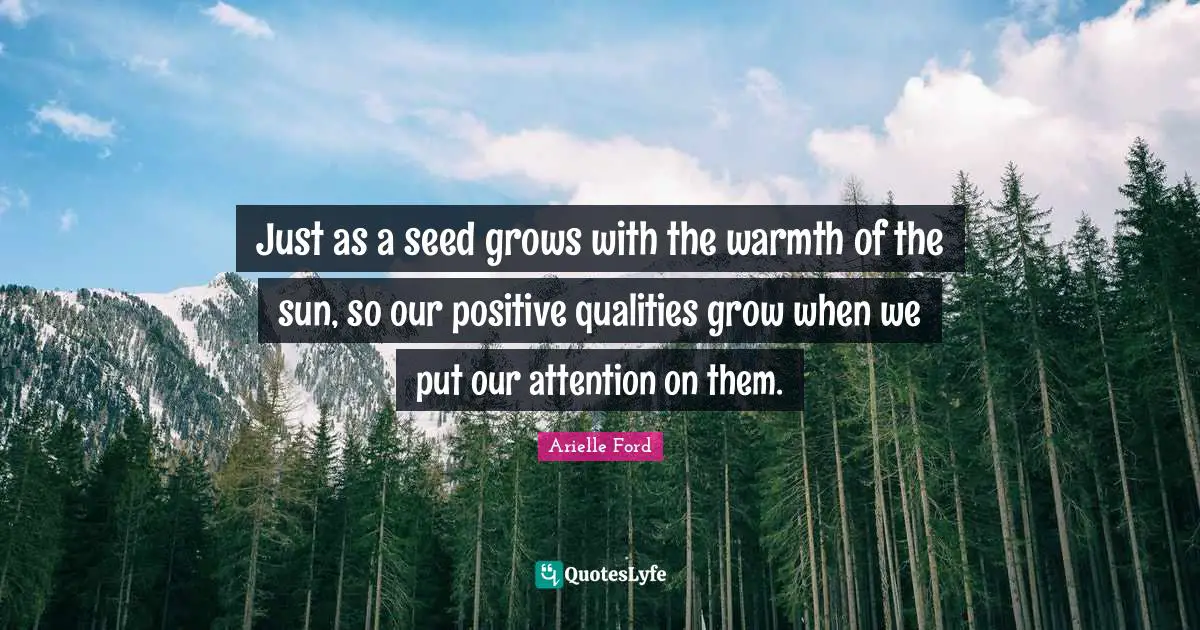 Just as a seed grows with the warmth of the sun, so our positive qualities grow when we put our attention on them.
