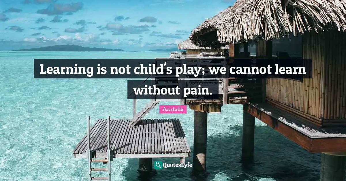 Learning is not child's play; we cannot learn without pain.