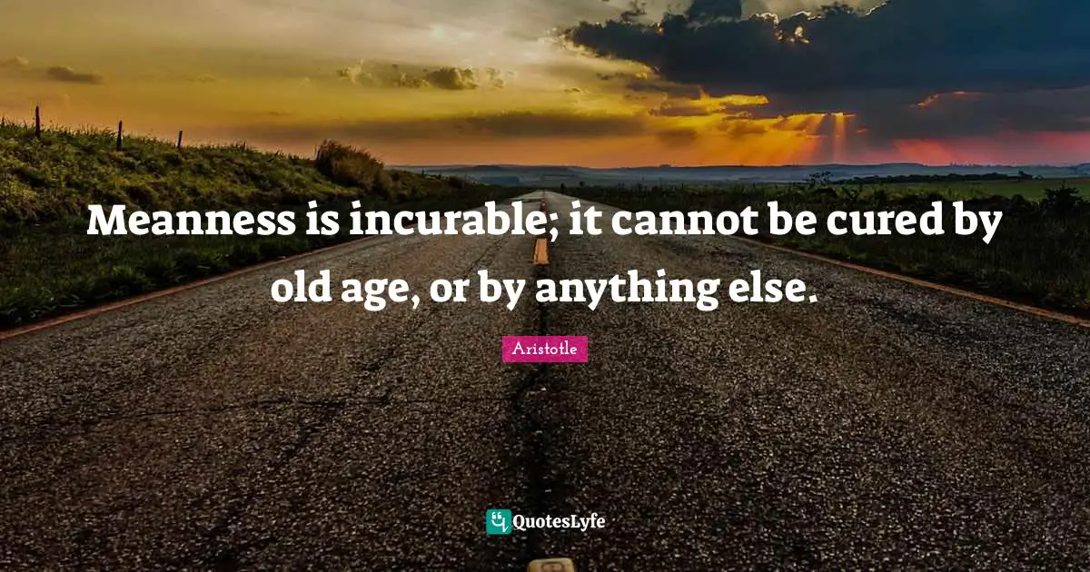 Meanness is incurable; it cannot be cured by old age, or by anything else.