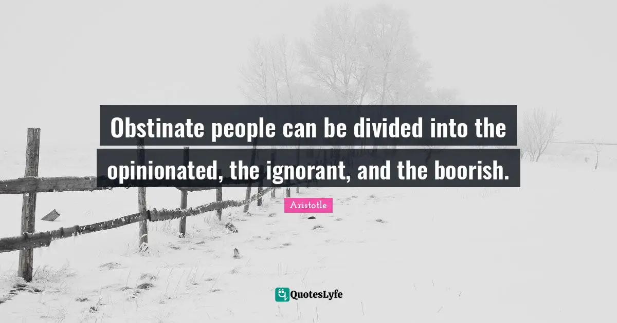 Obstinate people can be divided into the opinionated, the ignorant, and the boorish.