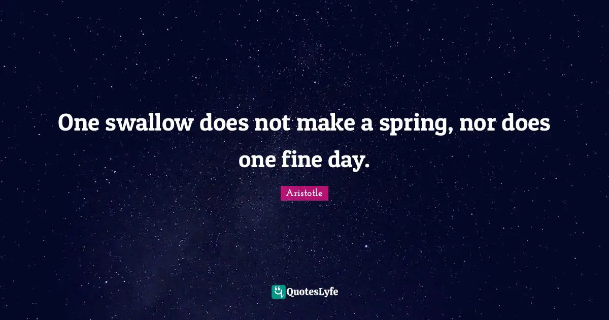 One swallow does not make a spring, nor does one fine day.