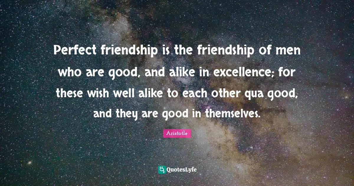 Perfect friendship is the friendship of men who are good, and alike in excellence; for these wish well alike to each other qua good, and they are good in themselves.