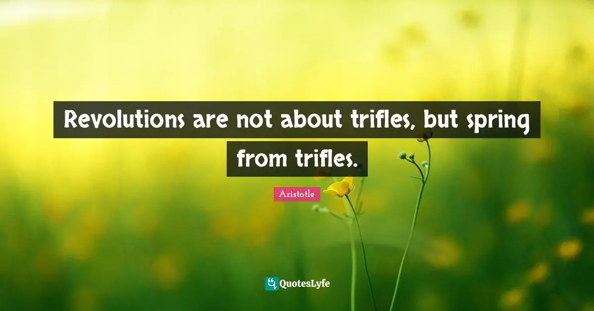 Trifles Quotes: "Revolutions are not about trifles, but spring from trifles."