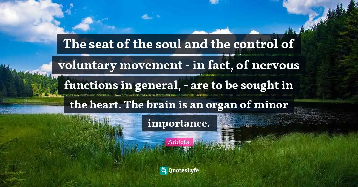 The seat of the soul and the control of voluntary movement - in fact, of nervous functions in general, - are to be sought in the heart. The brain is an organ of minor importance.