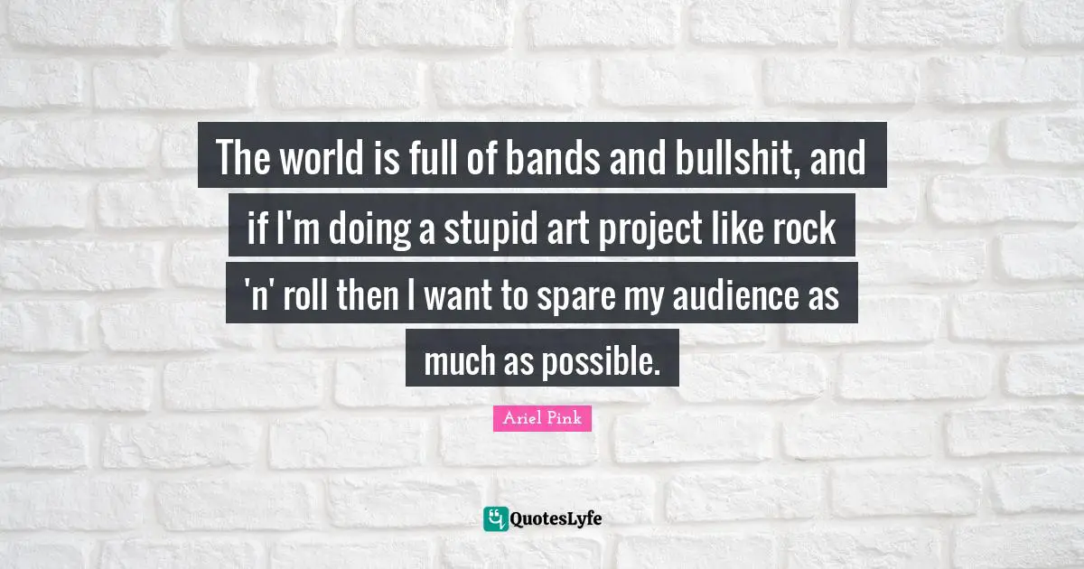 The world is full of bands and bullshit, and if I'm doing a stupid art project like rock 'n' roll then I want to spare my audience as much as possible.