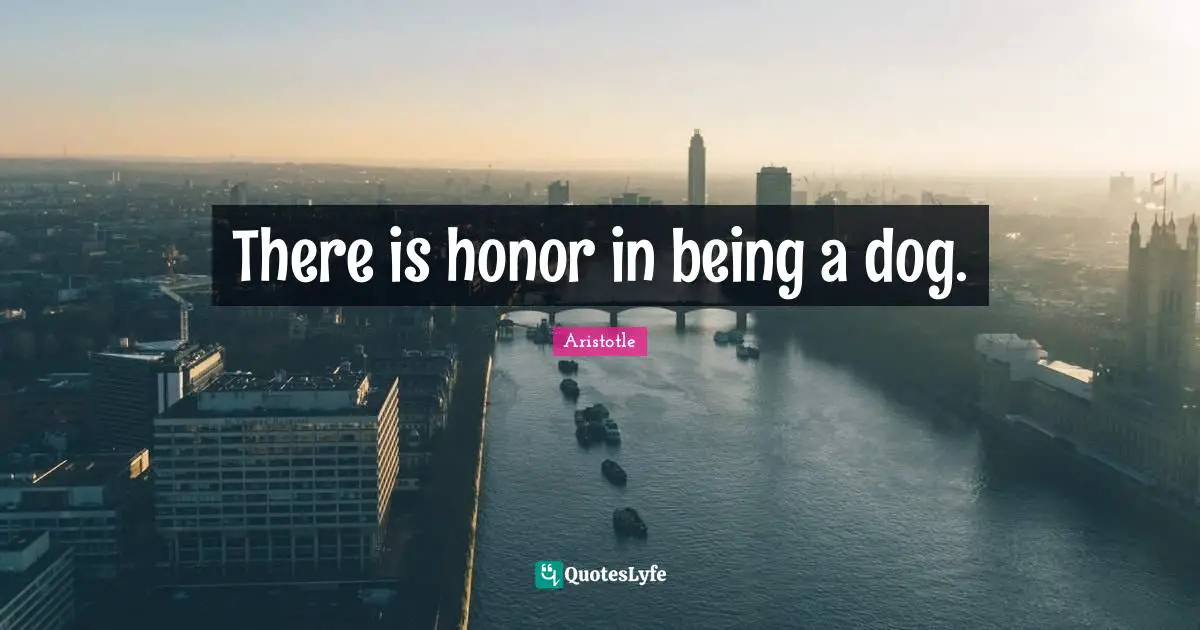 There is honor in being a dog.