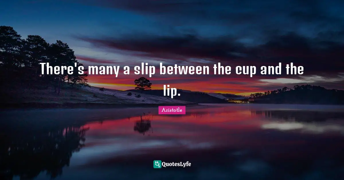 There's many a slip between the cup and the lip.