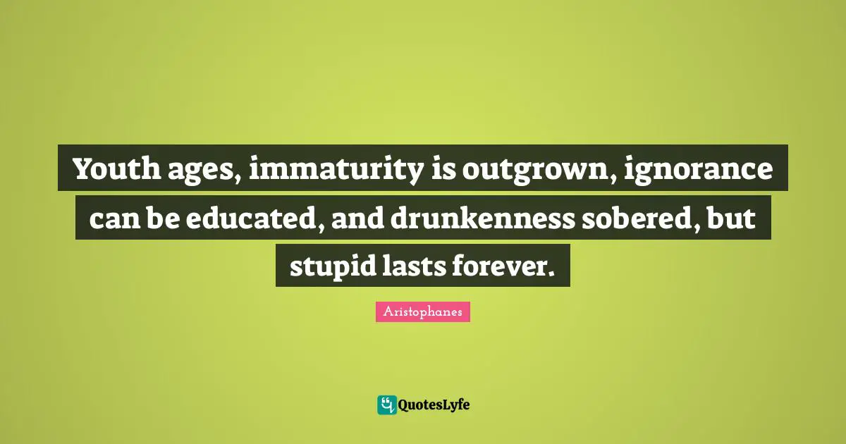 Youth Quotes: "Youth ages, immaturity is outgrown, ignorance can be educated, and drunkenness sobered, but stupid lasts forever."