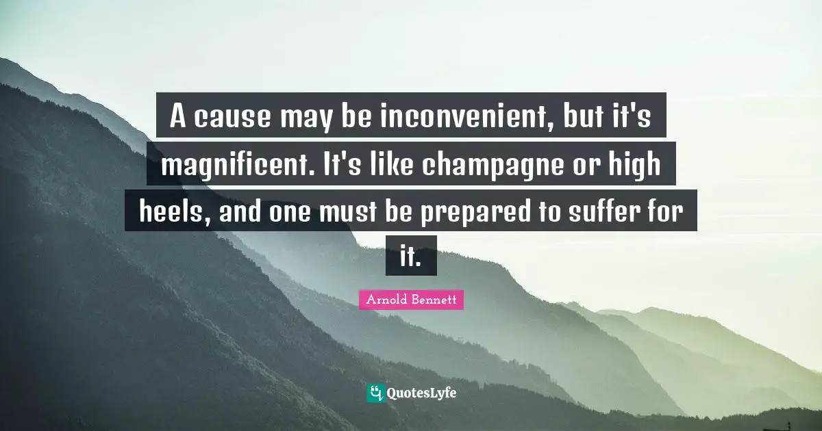 A cause may be inconvenient, but it's magnificent. It's like champagne or high heels, and one must be prepared to suffer for it.