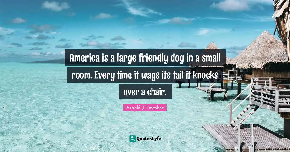 America is a large friendly dog in a small room. Every time it wags its tail it knocks over a chair.