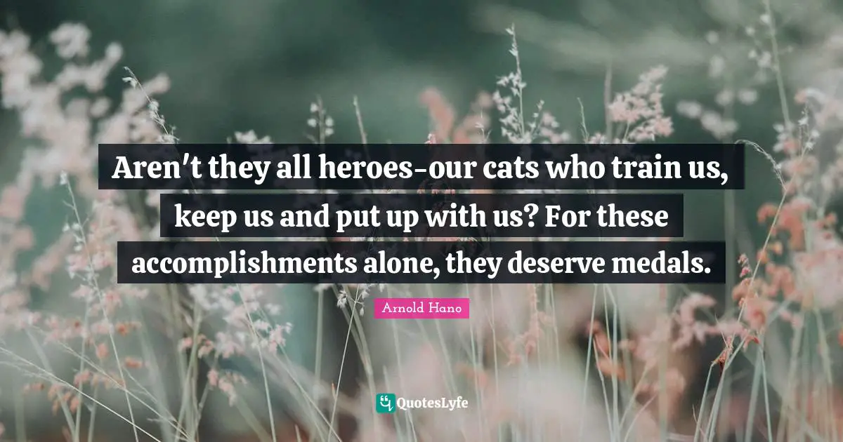 Aren't they all heroes-our cats who train us, keep us and put up with us? For these accomplishments alone, they deserve medals.